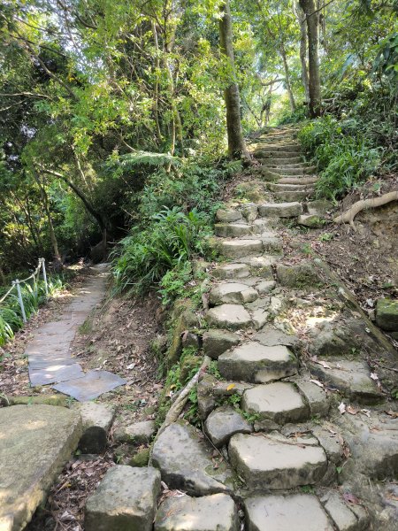 20250830天上山、旺旺嶺、太極嶺2874096