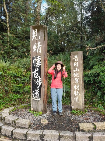 見晴懷古步道2940573