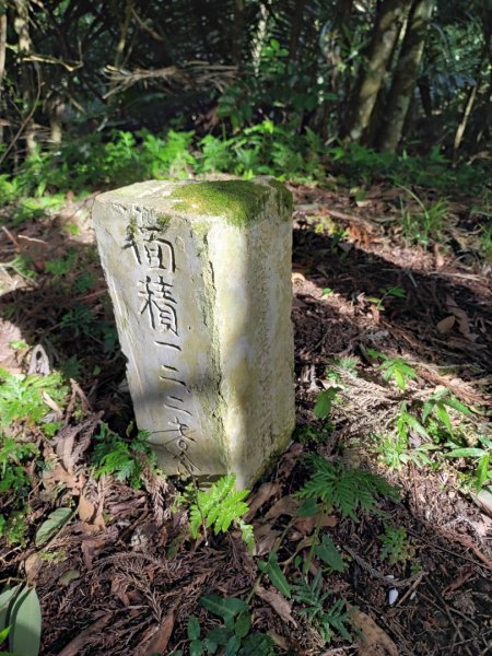 春谷養鱒場-小東河山北峰-小東河山-大龍山-南大龜山-光天高山-春谷養鱒場 O型 2021.6.301422737