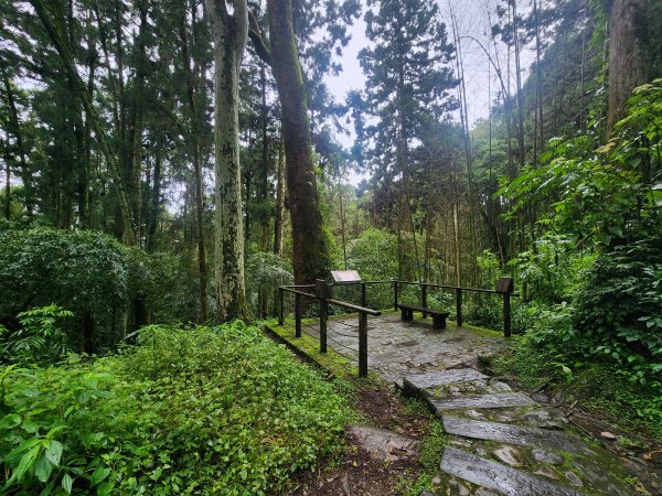 20250719頂湖上大凍山2907149