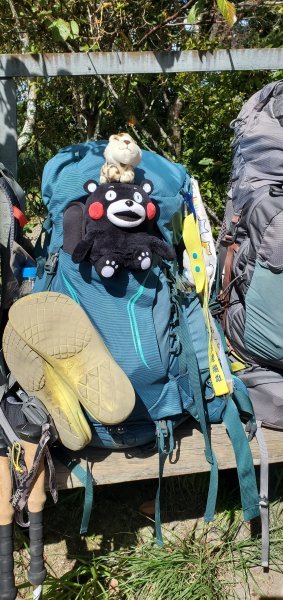 20260802奇萊南華2天1夜，住宿五星級山屋3096054