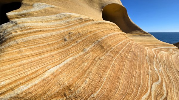 新北近郊小而美的賞景好路線野柳駱駝峰玉田古道O型2897887