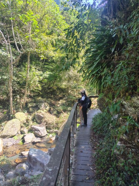 唐麻丹山 蝴蝶谷2918980