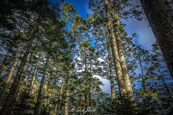 雪山主峰一日單攻963329