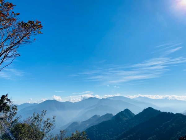 2021/11/6 北得拉曼好風光～山毛櫸-雲海-巨木1505162