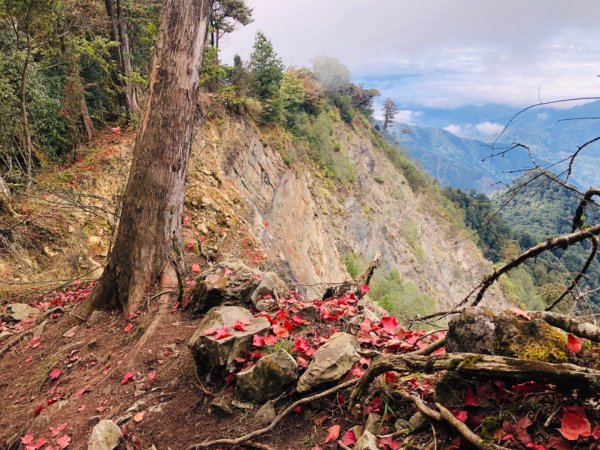 1091220稍來山主峰.南峰1214764