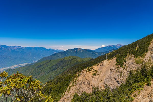 [百岳]合歡北、西峰3039441