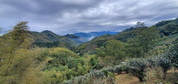 2025-01-19孝子路步道、大巃頂2694258