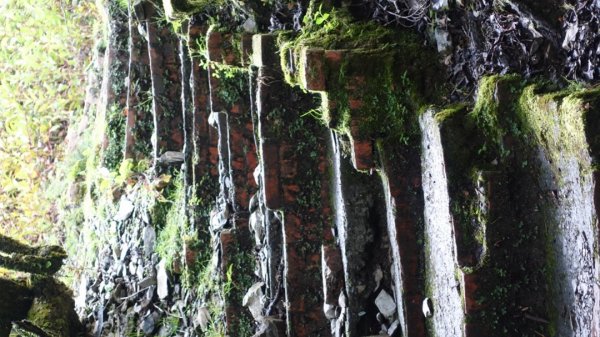 雙龍林道上巒安堂西巒大山1778732