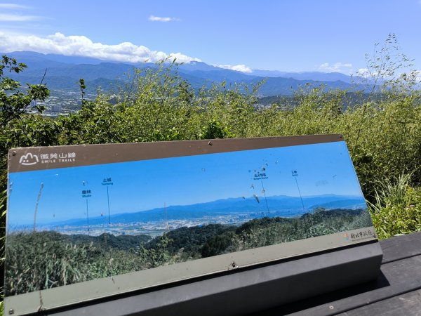 20250815微笑山線大棟山系百年大榕樹段2859905