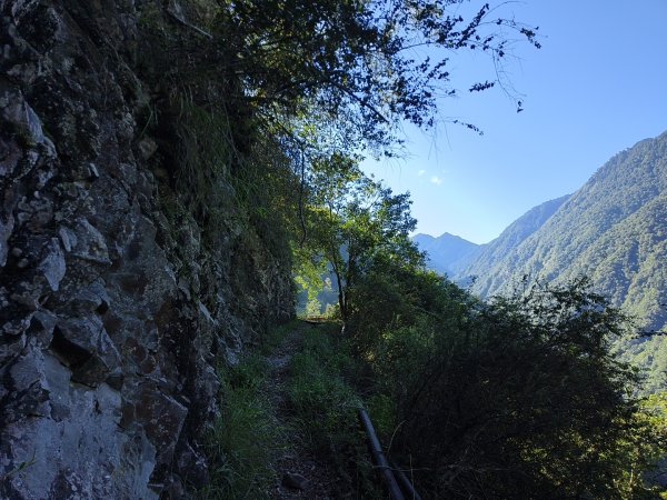 [玉山尋寶任務-07/12] 2025_0824 八通關雲龍瀑布步道2870639