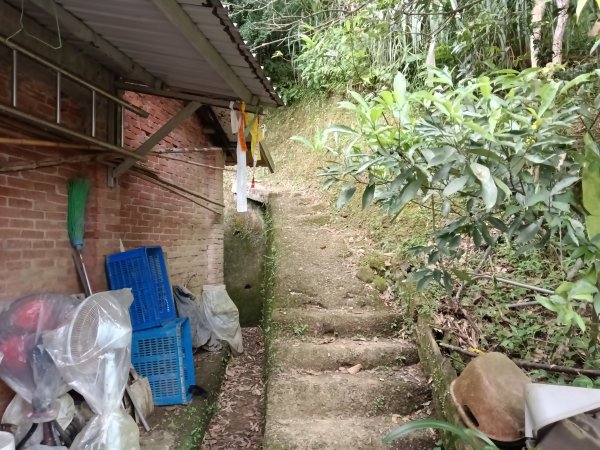 平溪區嶺腳越嶺古道+嶺腳步道+嶺腳石窟大瀑布O型2824082