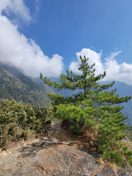 20260315-玉山前峰3018720