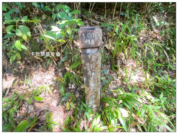 卡拉莫基步道、哈盆古道、波露南山 連走3094786