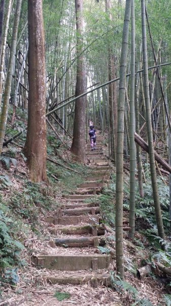 四大天王步道481787