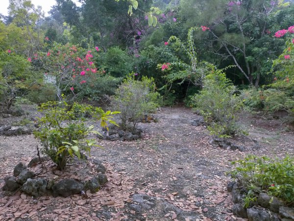 柴山之美~2934540