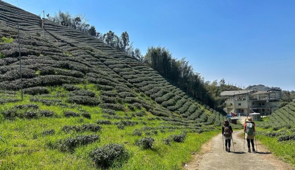 溪頭六連峰O繞2741736