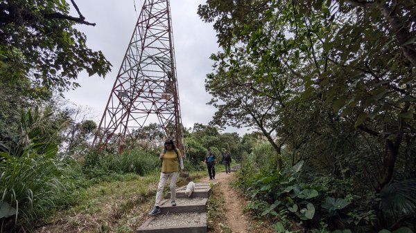 114.12.20劉銘傳隧道-獅球嶺北峰-獅球嶺東砲台山-獅球嶺池-獅球嶺砲台山之旅2966707
