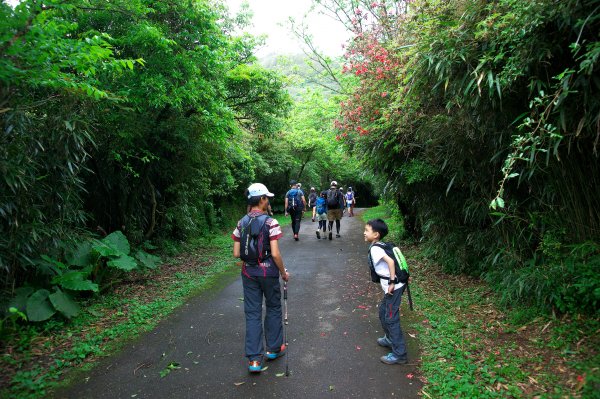 淡水天元宮步行到竹子湖，綠意盎然的古道路徑。一切都是為了吃飯。1347620