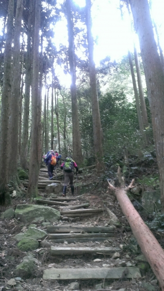 20160404苗栗加里山(二坪山入口)34185