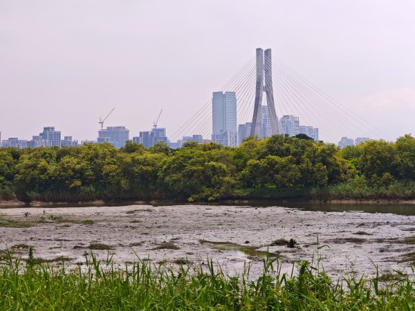 [跟著2025雙北世壯運探索雙北市-1/21] 2025_0607 飛盤競技道（華江雁鴨河濱步道）