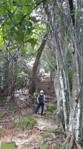 《新竹》青青石階｜娥眉藤坪步道及萬佛庵步道202509132883889