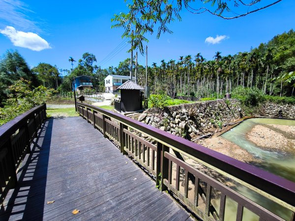 2024-08-22 澀水森林步道2578477