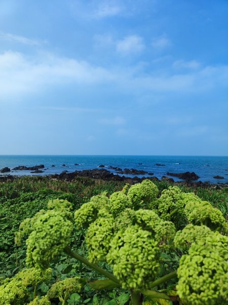 富貴角燈塔老梅綠石槽2781654