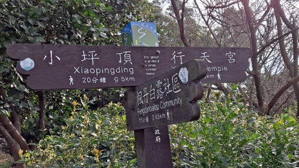 台北大縱走第一段1249100