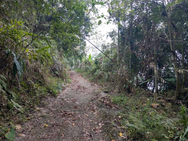 竹子尖山(小百岳#67)：梅龍步道、山稜線步道、觀音步道、階梯步道1377529