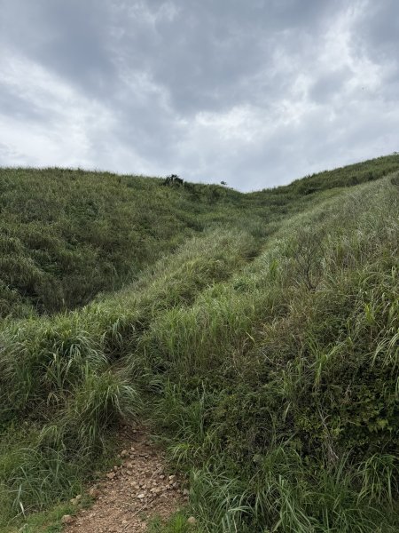 淡蘭北路第一段：瑞芳車站至慶雲宮2876396