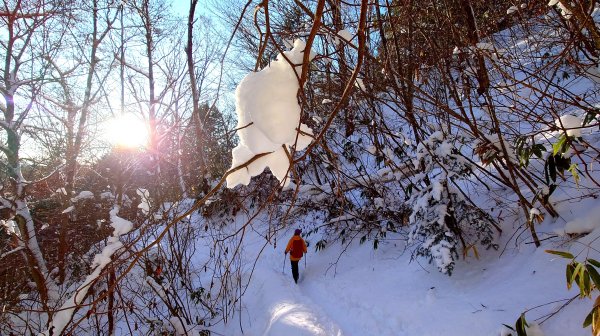 超綺麗夢幻的粉雪奇緣山行記在日本名古屋南沢山2781222