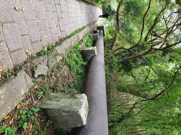 天母水管路古道，翠峰瀑布，芝山岩步道群，貴子坑水土保持園區，奇岩山，泰山義學坑步道，八連溪水車公園1630901