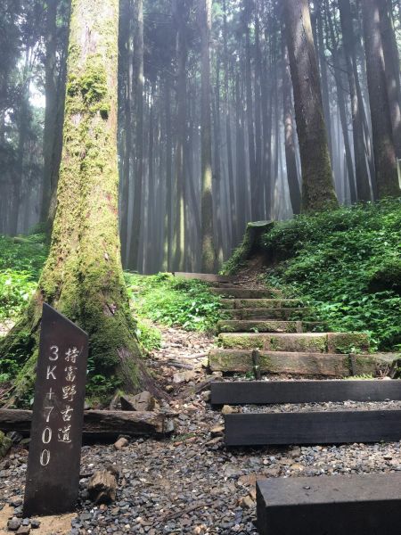 170805_特富野古道160856