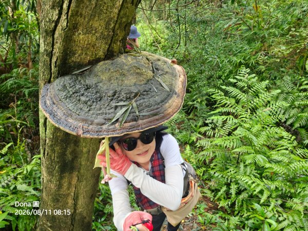 艋舺崙古道上新路尾山連走大平林山古厝O走3102729