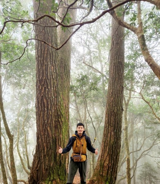 【中級山】芝生毛台山，芝生毛台山西峰，秀巒軍艦岩，屯野生步道，屯野生砲台2745122