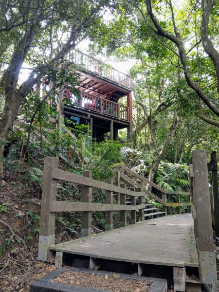 大崙頭尾親山步道走往大溝溪親水公園1430961