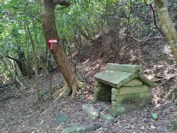 [新北貢寮][三]水返港山、外文秀坑山、長潭山、蚊子坑山(和美山)、石壁坑山