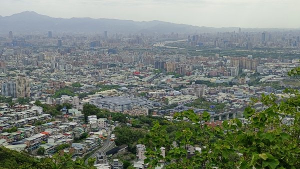 (姨婆趴趴走)第五十集:新北樹林大同山、青龍嶺、大棟山諸峰連走2751582
