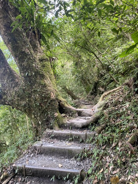 三角崙山及抹茶山3065480
