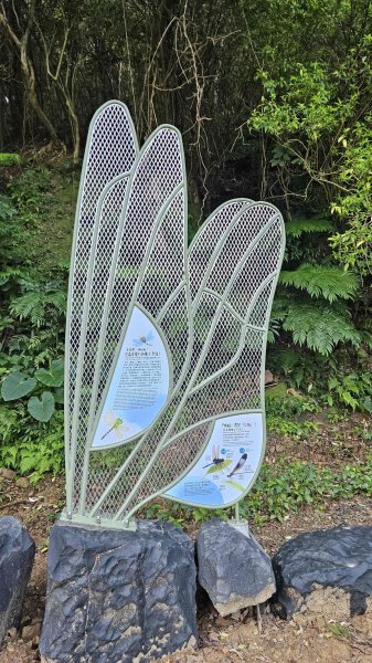 20251123大湖坑步道-詹公厝2942927