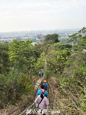 【高雄大社】小百岳大社觀音山步道3013132