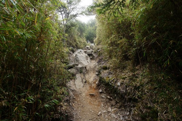 南投 信義 玉山前峰2352079