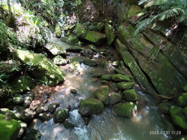 圓覺寺步道→新福本坑→碧湖步道→碧山公園→國立臺灣戲曲學院→碧湖公園→大港墘公園【臺北健走趣】2849247