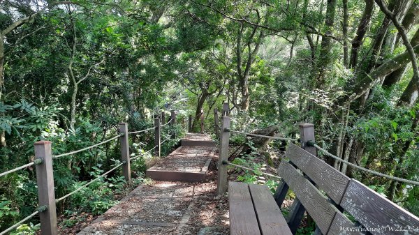 《台中》郊山飆汗｜潭子新田登山步道上聚興山O繞202510042904453