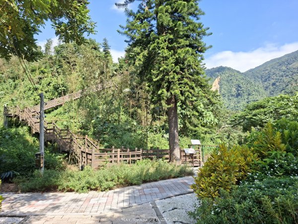 《南投》瀑布茶園｜竹山瑞龍瀑布步道及山坪頂茶山七星步道202609273124245
