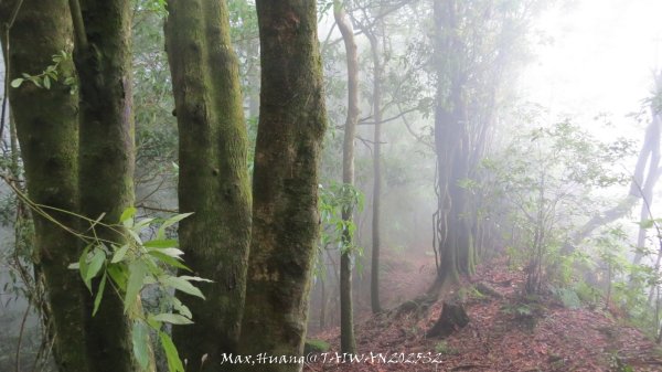 《雲林》望好望角｜石壁山嘉南雲峰步道(中側登山口）202506072805507