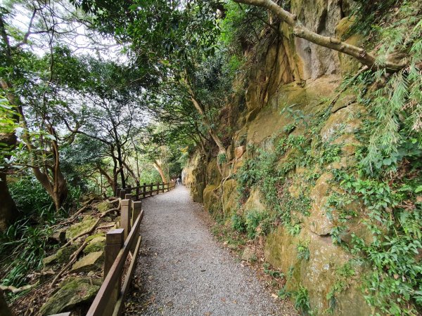 天母水管路古道，翠峰瀑布，芝山岩步道群，貴子坑水土保持園區，奇岩山，泰山義學坑步道，八連溪水車公園1630904