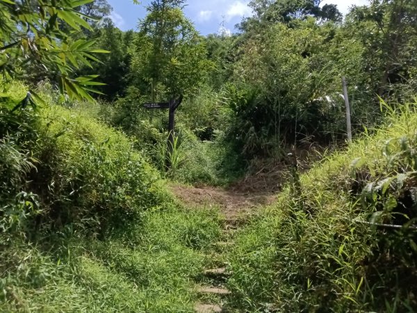 汐止區姜子寮田園步道+旗尾崙+姜子寮絕壁、瀑布O型2822247