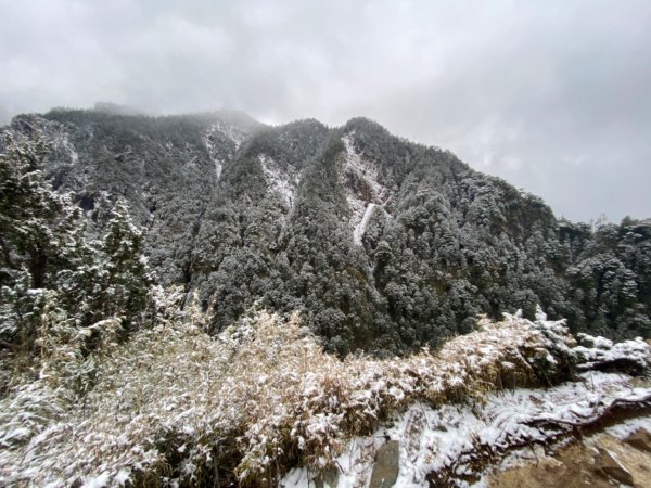 塔塔加-排雲山莊。驚喜滿分的糖霜雪景1565813